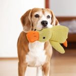 Pet supplies
