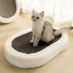 Rescue Cat